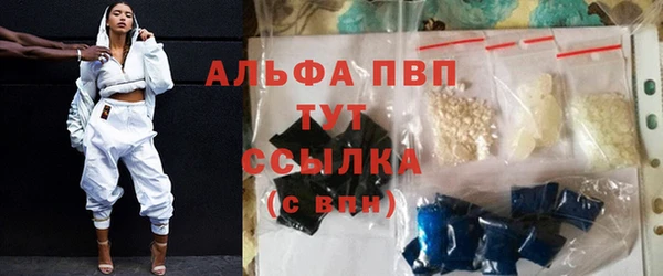 амф Корсаков