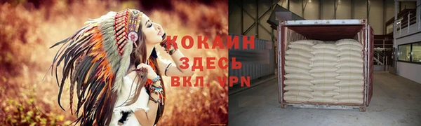 амф Корсаков