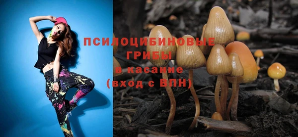 амф Корсаков