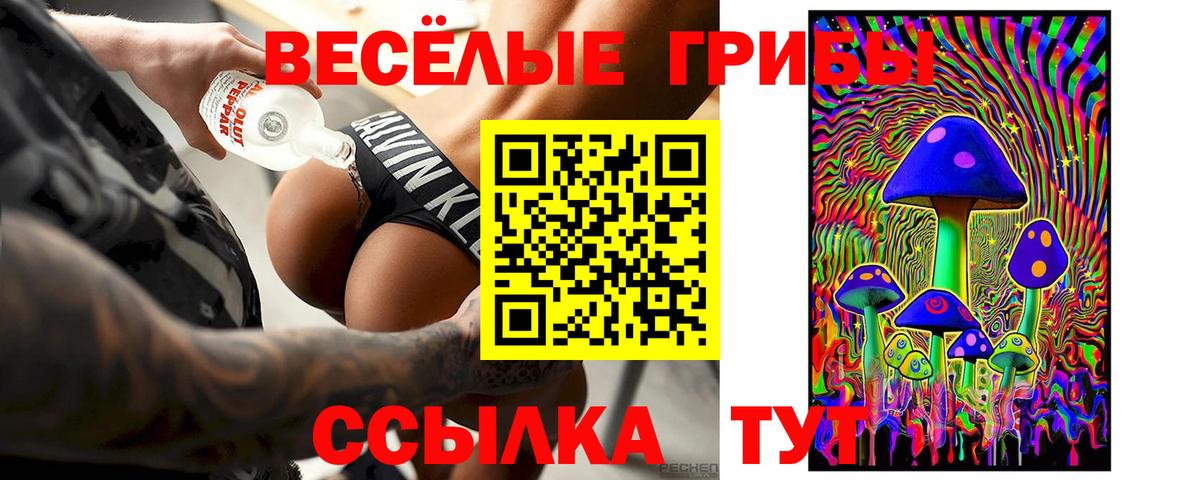 Галлюциногенные грибы Cubensis Чернушка