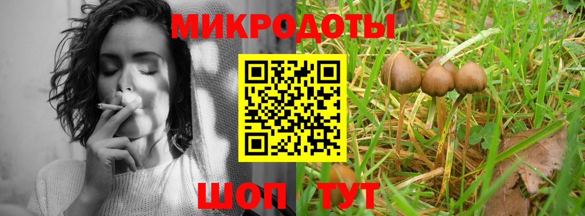Псилоцибиновые грибы MAGIC MUSHROOMS  Галлюциногенные грибы Psilocybine cubensis  Чернушка 