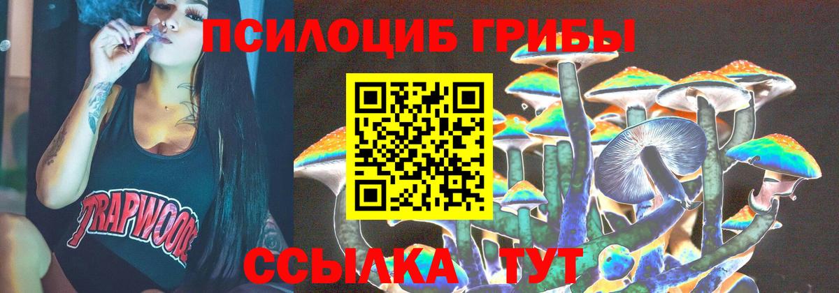 Галлюциногенные грибы Psilocybe Чернушка