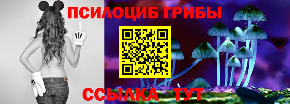Чернушка  Галлюциногенные грибы Psilocybe  Вход с VPN 