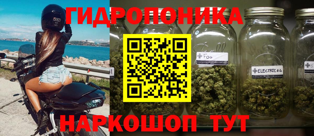 Шишки марихуана SATIVA & INDICA  Чернушка  Бошки Шишки Ganja  Конопля ГИДРОПОН 